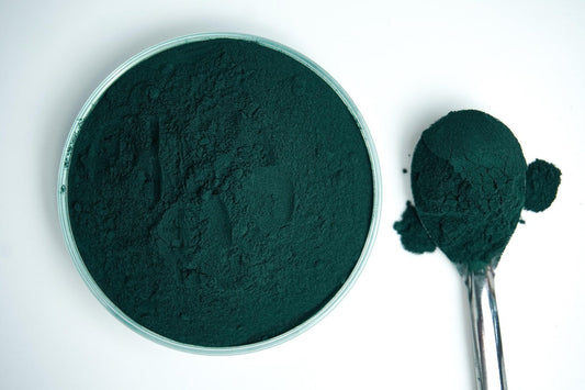 Les bienfaits de la spiruline pour le cheval : Énergie, Immunité…