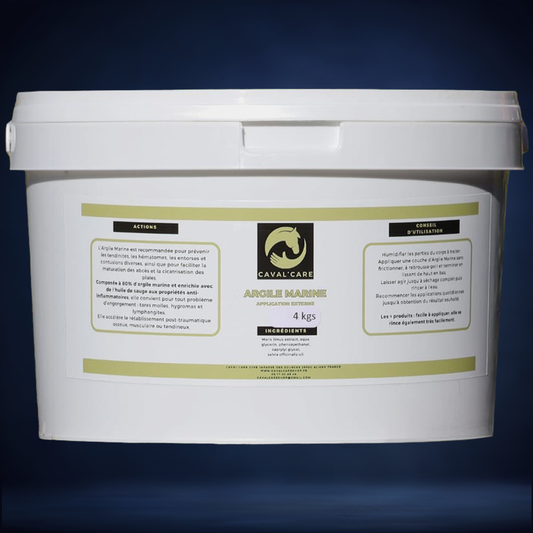 ARGILE MARINE CHEVAL 4kgs