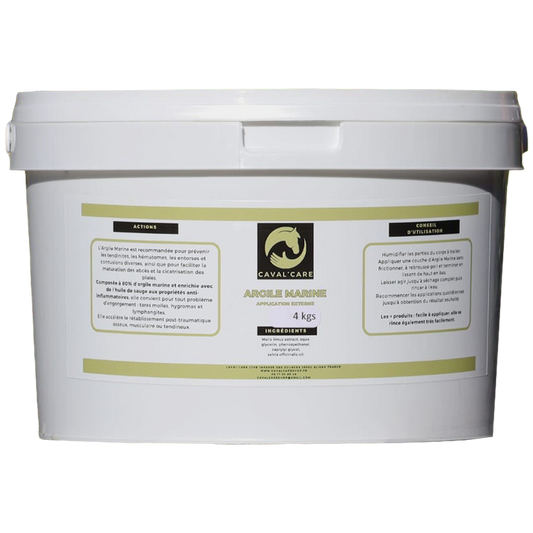 ARGILE MARINE CHEVAL 4kgs
