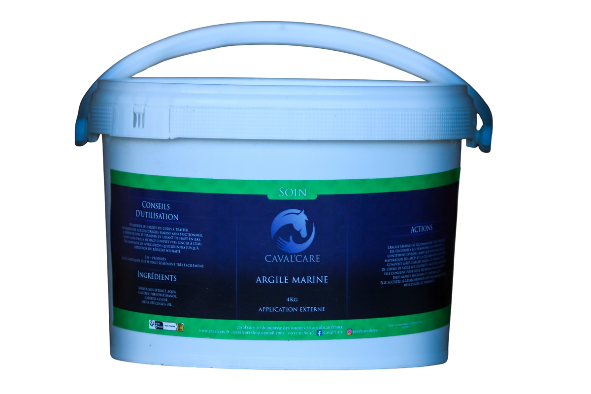 Argile Marine Cheval 4kgs