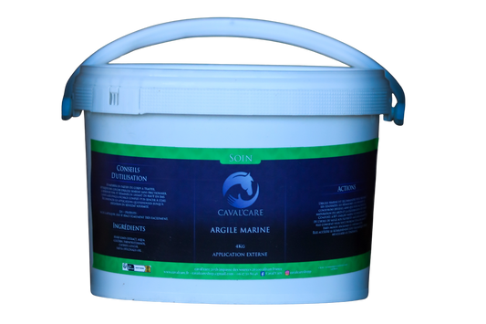 Argile Marine Cheval 4kgs