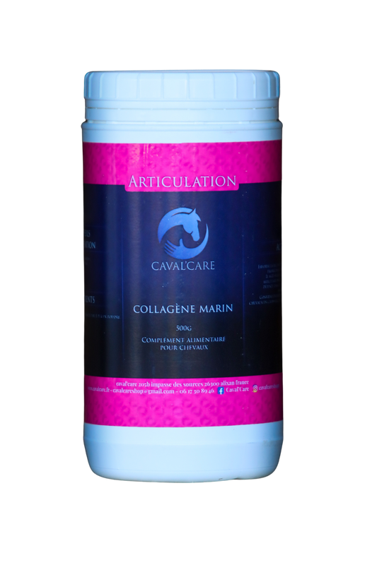 COLLAGENE MARIN CHEVAL 500g