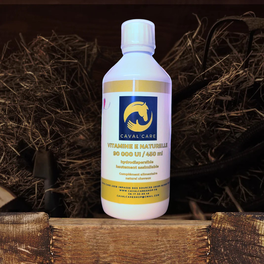 VITAMINE E HYDRODISPERSIBLE HAUTEMENT ASSIMABLE