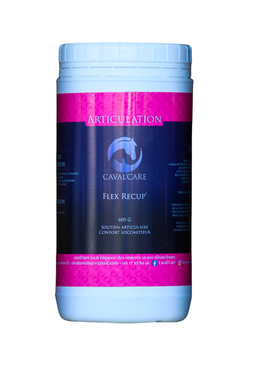 FLEX RECUP 600G