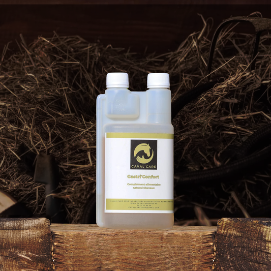 GASTRI'CONFORT 500ml