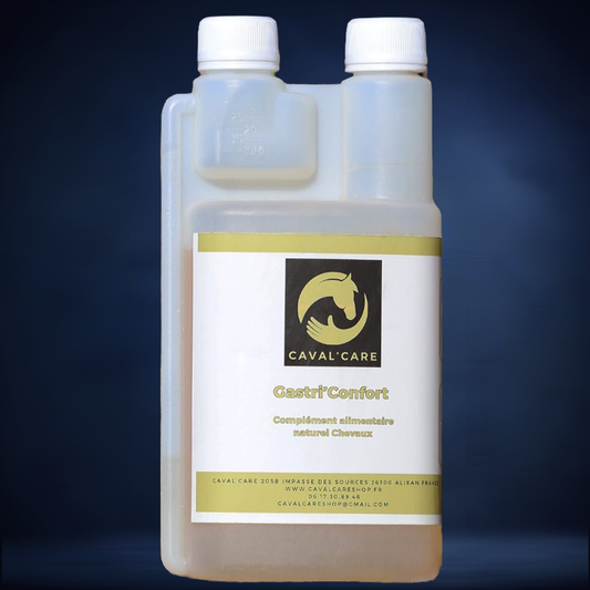 GASTRI'CONFORT 500ml