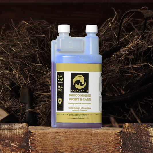 PHYCOCYANINE CHEVAL - PHYCO'HORSE - 900ml
